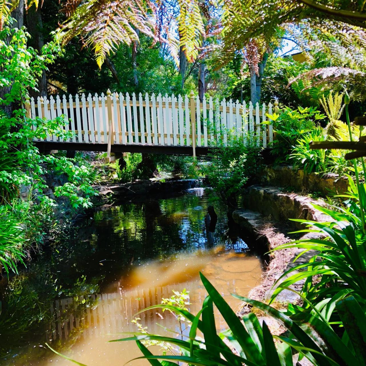 Aldgate Creek Cottage Bed And Breakfast Extérieur photo